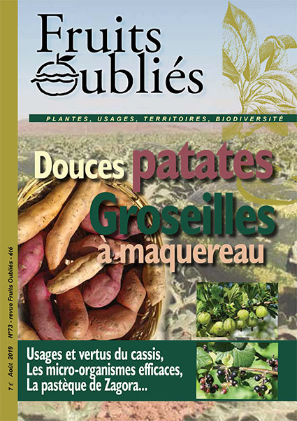 revue fruits oubliés n°73